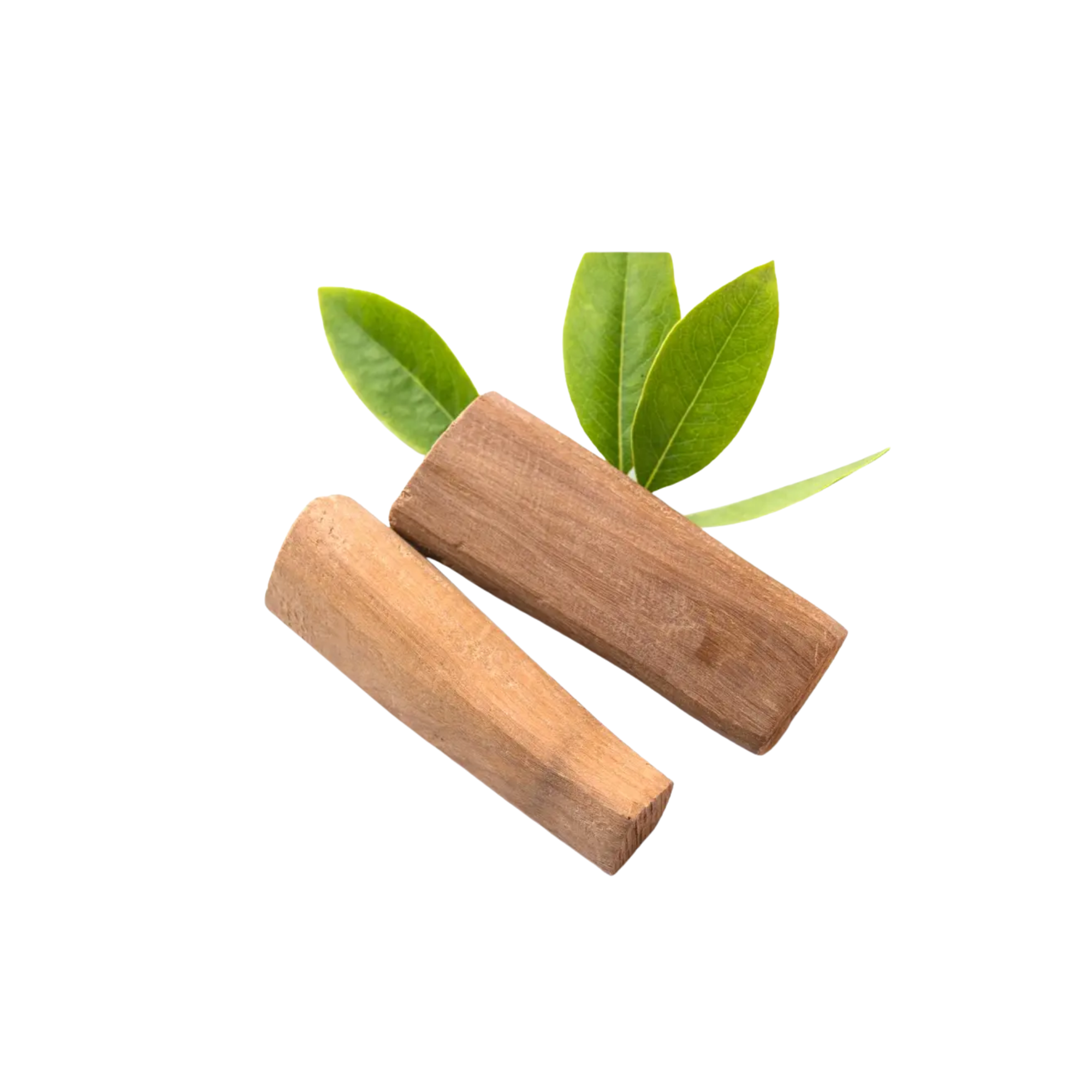SandalWood